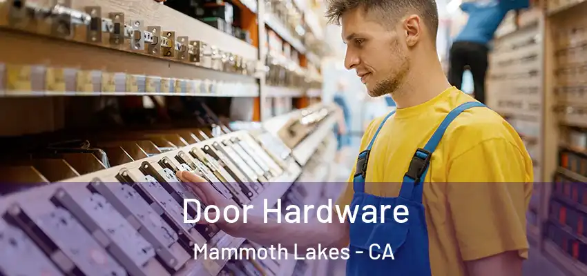  Door Hardware Mammoth Lakes - CA