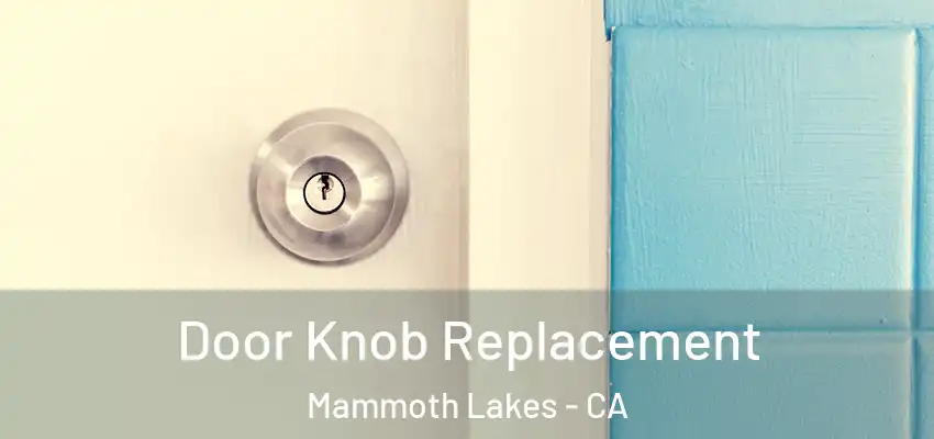  Door Knob Replacement Mammoth Lakes - CA