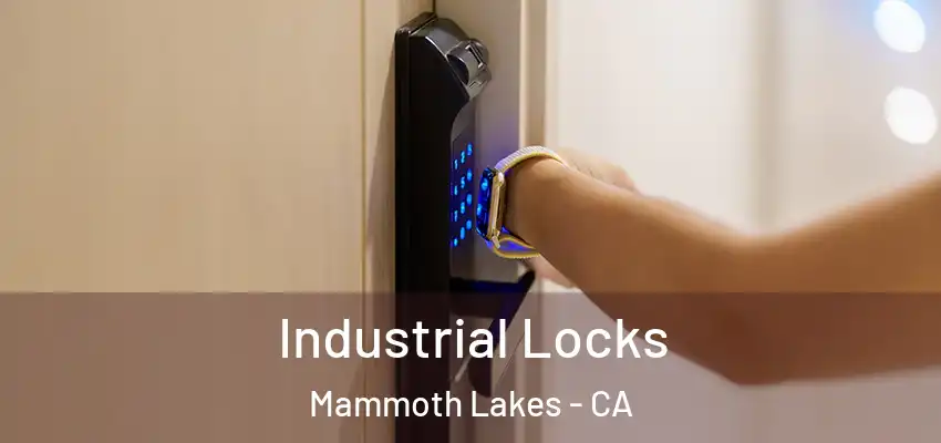  Industrial Locks Mammoth Lakes - CA